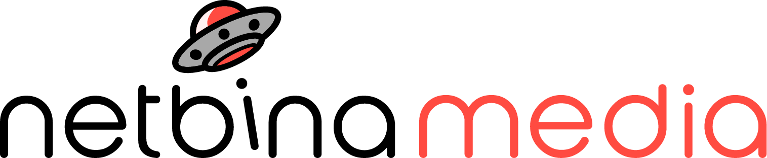 Netbina Media Logo